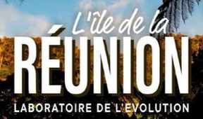 Ostrov Réunion: Hřiště evoluce