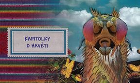 Kapitolky o havěti