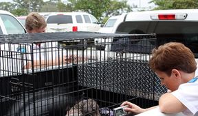 Veterinární policie Miami XVI (4)