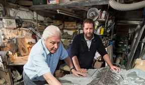 David Attenborough a mořský drak