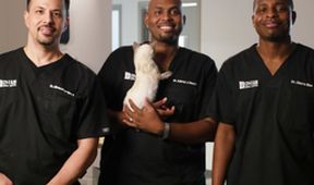 Život veterináře (2)
