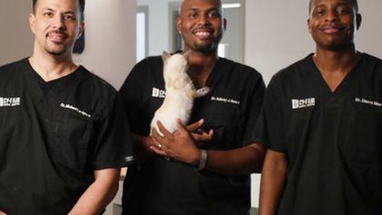 Život veterináře (2)