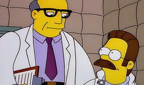 Simpsonovi II (4/22)