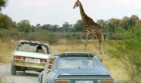 Top Gear: Botswanský speciál