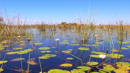 Velkolepá Afrika (3)
