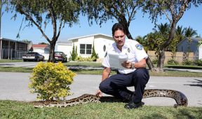 Veterinární policie Miami XVI (4)