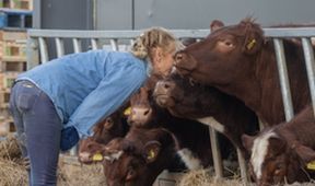 Clarksonova farma I (1)