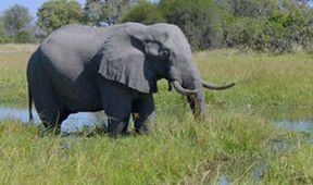 Africký vodní svět (1)