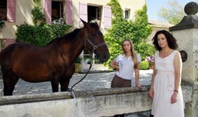 Plavba snů: Provence