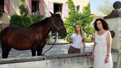 Plavba snů: Provence
