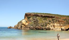 Wild Australia with Ray Mears (2)