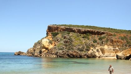 Wild Australia with Ray Mears (2)