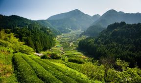Divoké Japonsko (1)