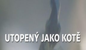 Utopený jako kotě