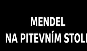 Mendel na pitevním stole