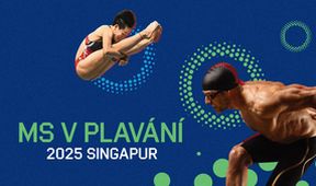 MS v plavání 2025 Singapur, MS Singapur