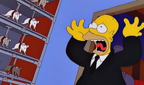 Simpsonovi III (13/24)