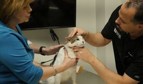 Život veterináře (3)