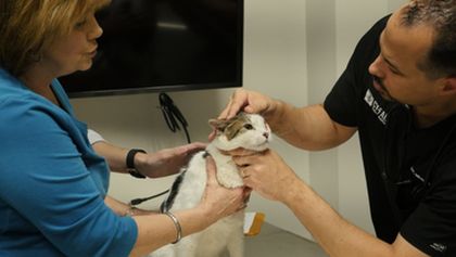 Život veterináře (3)