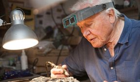 David Attenborough a mořský drak