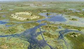 Velkolepá Afrika (5)