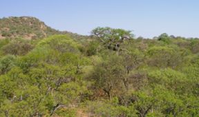 Velkolepá Afrika (4)