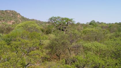 Velkolepá Afrika (4)