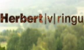 Herbert v ringu