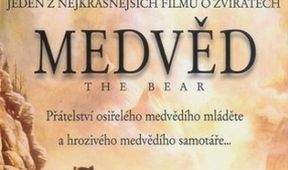 Medvědi