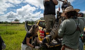 Projekt jaguár (2)