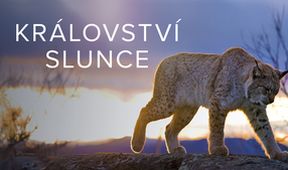 Království Slunce