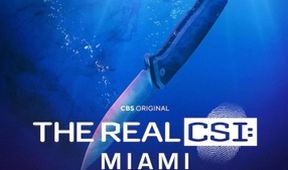 Skutočné C.S.I.: Miami (1)