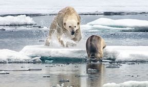 David Attenborough: Lov (4)