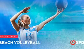 Beach Volleyball IV