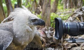 David Attenborough: Lov (1)