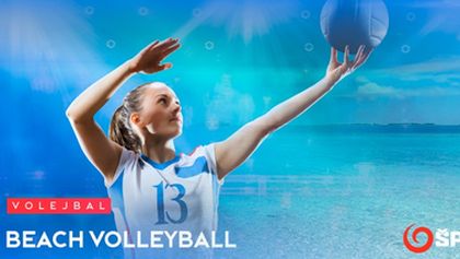 Beach Volleyball IV