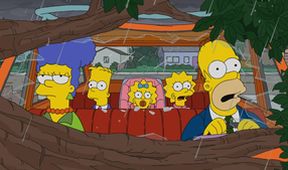 Simpsonovi V (19/22)