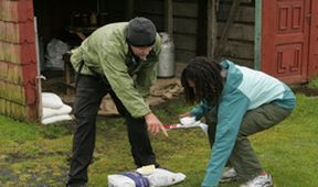 The Amazing Race XXXV (10)