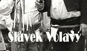Slávek Volavý