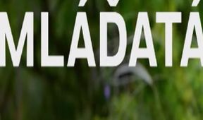 Mláďatá