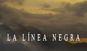 Černá linie
