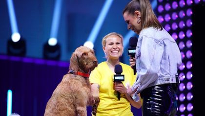 Top Dog Germany - Der beste Hund Deutschlands