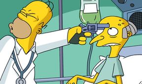 Simpsonovi XIII (13/22)