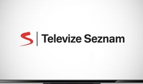 Zahradní proměny X (1)