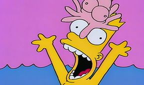 Simpsonovi V (8/22)