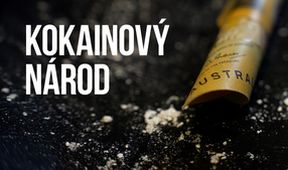 Kokainový národ
