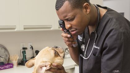 Život veterináře II (1)