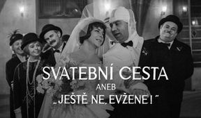 Svatební cesta aneb Ještě ne, Evžene!