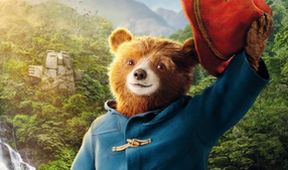 Paddington v džungli