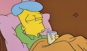 Simpsonovi V (2/22)
